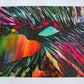"Haute" by Bryant Small